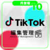 TikTok　月10投稿　
